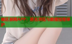 暗区禁网APP：匿名浏览与数据加密保护