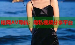 暗网AV导航：隐私视频分享平台