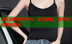 暗区禁网签名平台：安全便捷，保护你的网络隐私