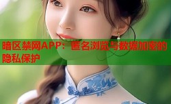 暗区禁网APP：匿名浏览与数据加密的隐私保护