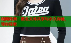 暗网绿洲：匿名文件共享与永久存储，等你探索