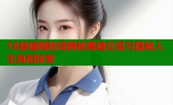 18禁暗网秘境揭秘黑暗交易与隐秘人生真相探索