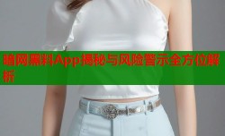 暗网黑料App揭秘与风险警示全方位解析