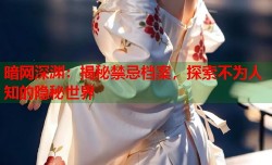 暗网深渊：揭秘禁忌档案，探索不为人知的隐秘世界