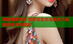 揭秘暗网世界 如何安全合法地进入暗网探索未知领域