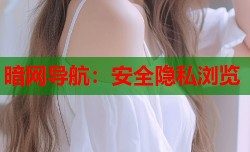 暗网导航：安全隐私浏览