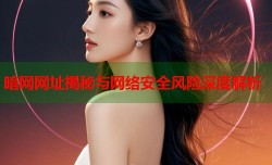 暗网网址揭秘与网络安全风险深度解析