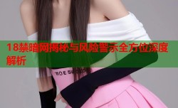 18禁暗网揭秘与风险警示全方位深度解析