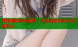 揭开暗网神秘面纱：安全匿名访问与交易平台