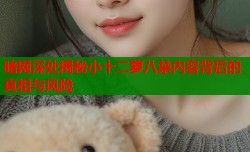 暗网深处揭秘小十二萝八禁内容背后的真相与风险