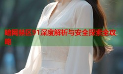 暗网禁区91深度解析与安全探索全攻略