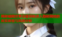 揭秘暗网世界深度探秘进入隐秘网络的真实体验与风险分析
