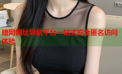 暗网网址导航平台一站式安全匿名访问体验