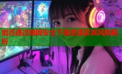 能否通过暗网安全下载资源及其风险解析