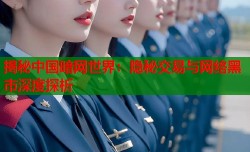 揭秘中国暗网世界：隐秘交易与网络黑市深度探析