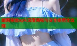 暗网禁地apk深度揭秘与安全使用全攻略