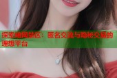 探索暗网禁区：匿名交流与隐秘交易的理想平台