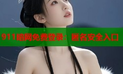 911暗网免费登录：匿名安全入口