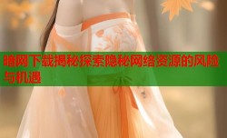 暗网下载揭秘探索隐秘网络资源的风险与机遇