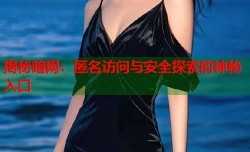 揭秘暗网：匿名访问与安全探索的神秘入口