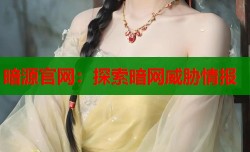 暗源官网：探索暗网威胁情报
