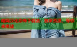 暗网汉化恐怖下载站：独家资源，等你来挑战