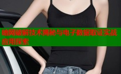暗网破解技术揭秘与电子数据取证实战应用探索