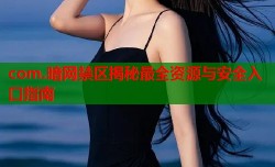 com.暗网禁区揭秘最全资源与安全入口指南