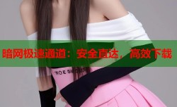 暗网极速通道：安全直达，高效下载