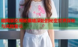 暗网禁区揭秘黑暗深处的秘密世界探秘与风险警示