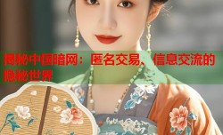 揭秘中国暗网：匿名交易、信息交流的隐秘世界