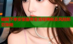 暗网下单安装服务全流程揭秘及风险防范策略