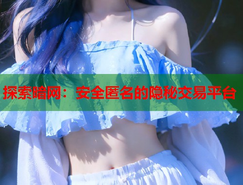 探索暗网：安全匿名的隐秘交易平台  第1张