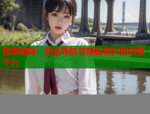 探索暗网：安全导航与隐私保护的终极平台  第1张