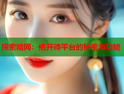 探索暗网：揭开待平台的秘密与功能  第1张