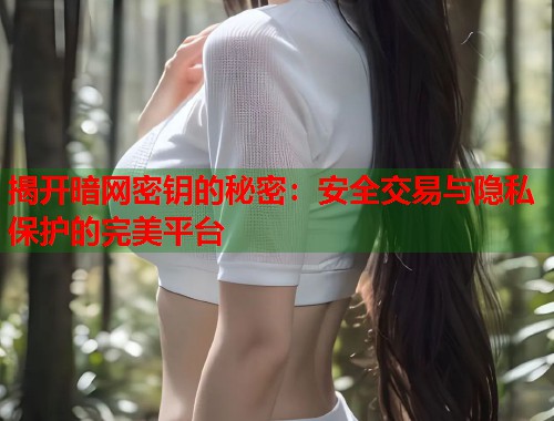 揭开暗网密钥的秘密：安全交易与隐私保护的完美平台  第1张