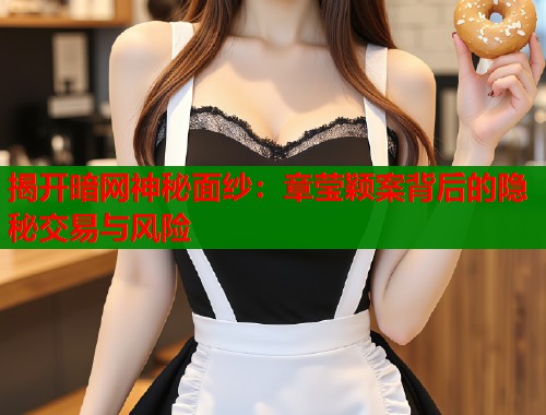 揭开暗网神秘面纱：章莹颖案背后的隐秘交易与风险  第1张