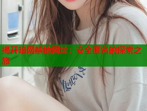 揭开暗网禁地网址：安全匿名的探索之旅  第1张