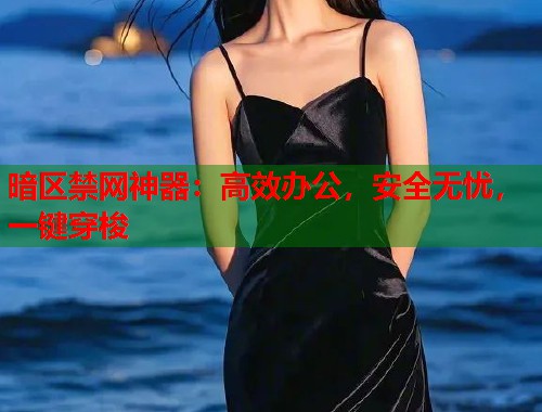 暗区禁网神器：高效办公，安全无忧，一键穿梭  第1张