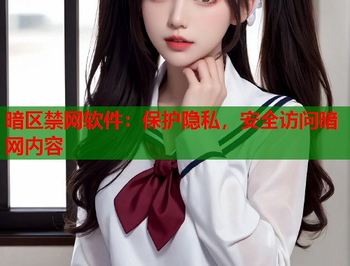 暗区禁网软件：保护隐私，安全访问暗网内容  第1张