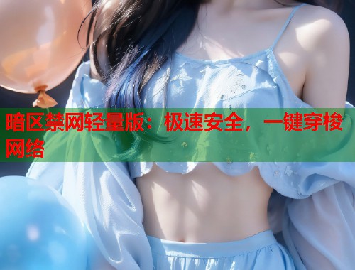 暗区禁网轻量版：极速安全，一键穿梭网络  第2张