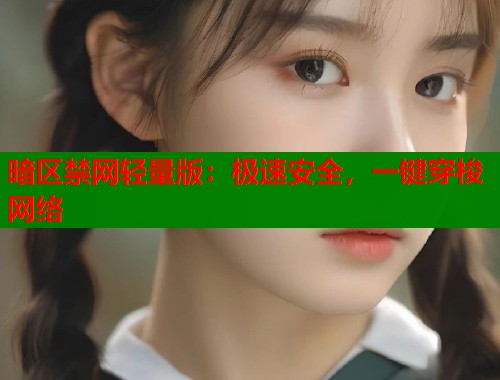 暗区禁网轻量版：极速安全，一键穿梭网络  第1张