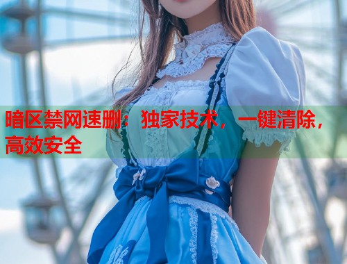 暗区禁网速删：独家技术，一键清除，高效安全  第2张
