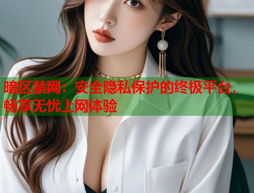 暗区禁网：安全隐私保护的终极平台，畅享无忧上网体验  第1张