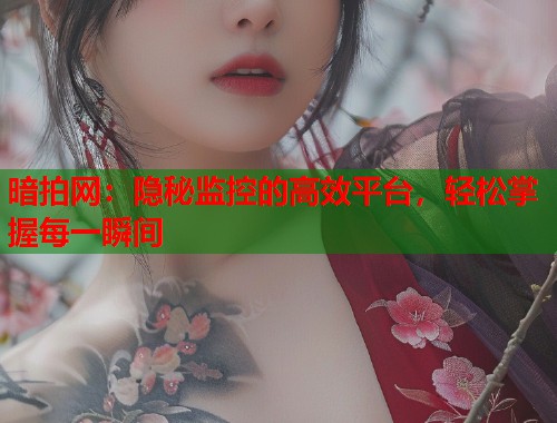 暗拍网：隐秘监控的高效平台，轻松掌握每一瞬间  第1张