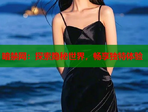 暗禁网：探索隐秘世界，畅享独特体验  第1张