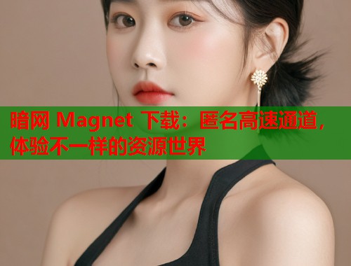 暗网 Magnet 下载：匿名高速通道，体验不一样的资源世界  第2张