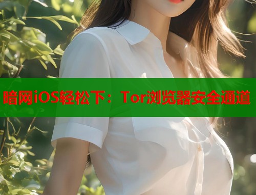 暗网iOS轻松下：Tor浏览器安全通道  第1张