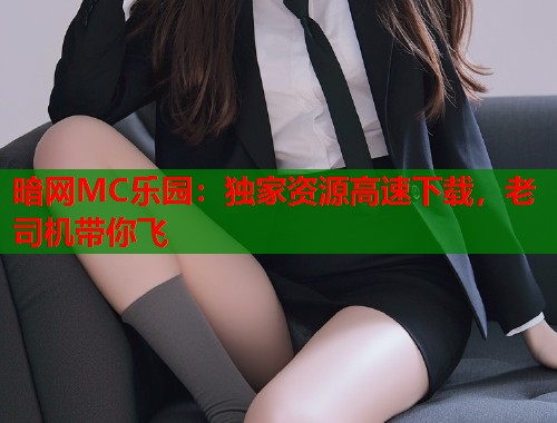 暗网MC乐园：独家资源高速下载，老司机带你飞  第1张