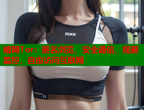 暗网Tor：匿名浏览，安全通信，规避监控，自由访问互联网  第1张